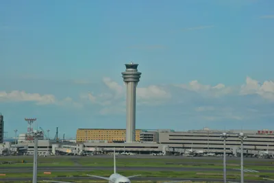 DSC_4040 (Large).JPG